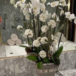 Tall white orchid arrangement in a decorative silver vase