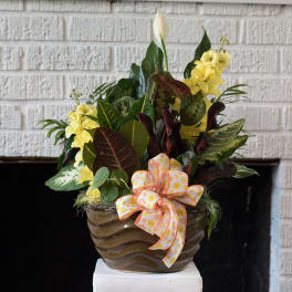 Tropical plant arrangement in a brown ceramic pot with a patterned bow