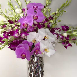 Purple and white orchids arranged in a tall silver vase.