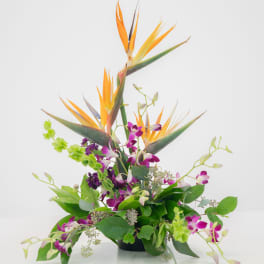 Tropical flower arrangement with orange bird of paradise and purple orchids