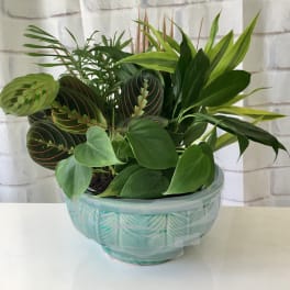 Mixed green houseplants arranged in a turquoise bowl planter