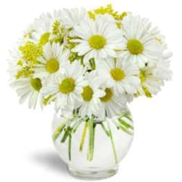 White daisy bouquet in a clear glass vase