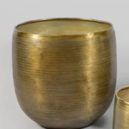 Gold metal planter pot on a plain background