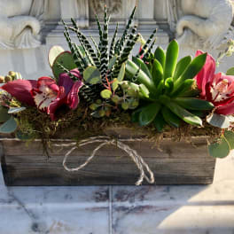 Succulent arrangement with pink orchid blooms in a wooden box