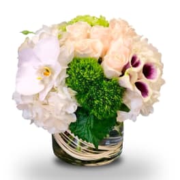 Bouquet of pale roses, hydrangeas, orchids, and green pom-pom flowers in a glass vase