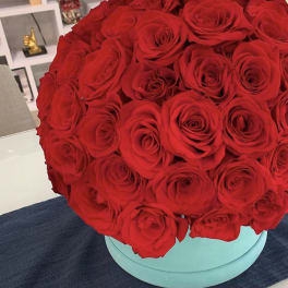 Red roses arranged in a round turquoise box