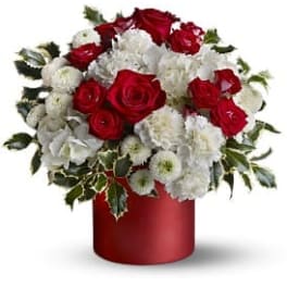 Red roses and white carnations with mums in a red cylinder vase with variegated holly