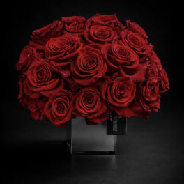 Bouquet of red roses in a clear square vase