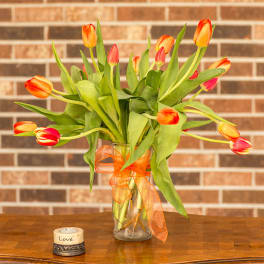 Orange and pink tulips in a glass vase with an orange ribbon