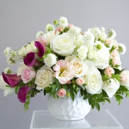 White and blush roses with magenta calla lilies in a white vase