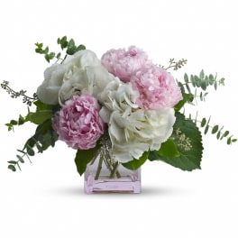 Teleflora's Pretty in Peony