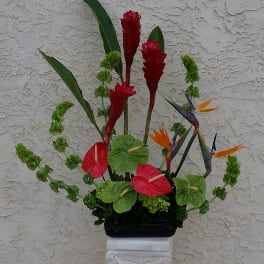 Tropical arrangement with red anthuriums and bird of paradise flowers