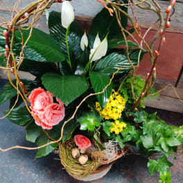 Potted garden with leafy plants, white blooms, and a twig arch over a moss nest with decorative eggs.