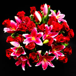 Bouquet of red roses and pink lilies on a black background