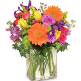 Colorful mixed bouquet in a clear glass vase