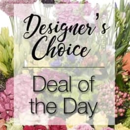 Floral display with a sign reading "Designer’s Choice Deal of the Day"
