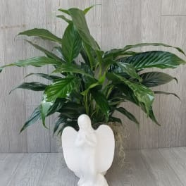Green potted plant in a white angel-shaped planter