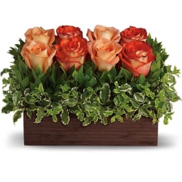Six peach and red roses in a rectangular wooden planter