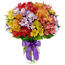 Rainbow Peruvian Lily Bouquet
