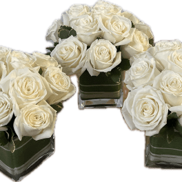 Three white rose arrangements in square glass vases
