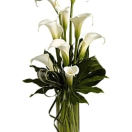 White calla lilies arranged in a clear glass vase