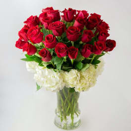 Red roses arranged in a clear glass vase with white hydrangeas