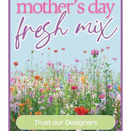 Designers Choice - Mother's Day