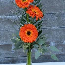 3 orange gerbera daisy bud vase
