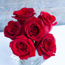 Five red roses arranged in a clear square vase