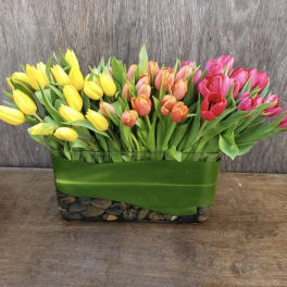 Rectangular arrangement of yellow, peach, and pink tulips in a glass vase