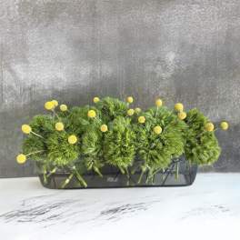 Green pom-pom flowers in a rectangular glass vase with yellow button blooms