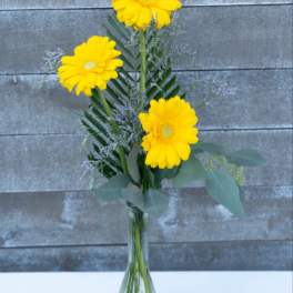 Three yellow gerbera daisies in a clear glass vase
