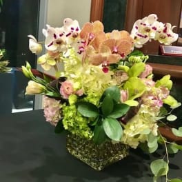 Orchid arrangement in a square glass vase with pale pink and white blooms