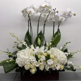 White orchid and rose arrangement in a rectangular container