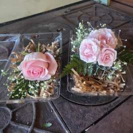 Pink rose corsage and boutonniere set in clear plastic boxes with filler blooms.