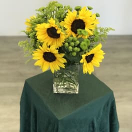 Sunflower arrangement in a clear glass vase with green accents