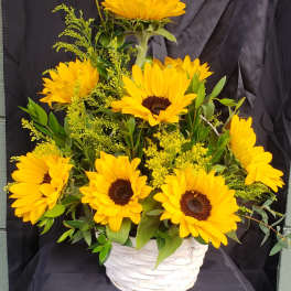 Yellow sunflowers arranged in a white basket