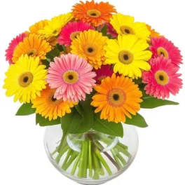 Bright gerbera daisy bouquet in a clear glass vase
