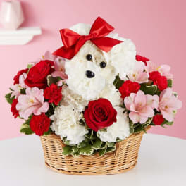 White teddy bear in a basket surrounded by red and pink flowers