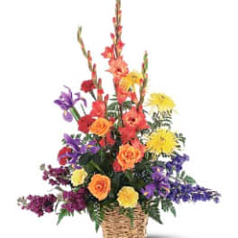 Rainbow Basket [TF187-6]