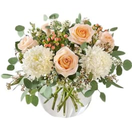 Peach roses and white mums in a white vase