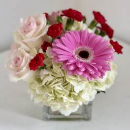 Pink gerbera daisy and roses in a square glass vase