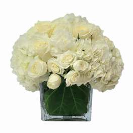 White roses and hydrangeas in a square glass vase