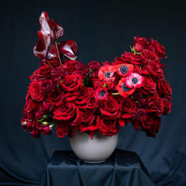 Red rose arrangement in a white vase with dark red calla lilies