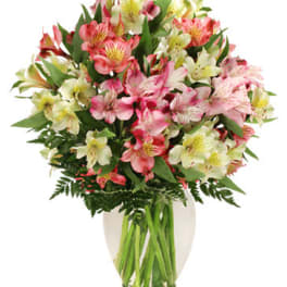 Bouquet of pink and white alstroemeria in a clear glass vase