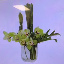 Green orchids arranged in a clear glass vase with tall leaves