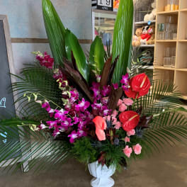Tropical flower arrangement in a white pedestal vase with pink orchids and red anthuriums