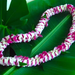 Pink and white flower lei on large green leaves