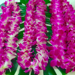 Three magenta orchid leis on large green leaves