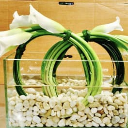 White calla lilies arranged in a clear rectangular vase with white stones